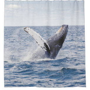 Rideaux De Douche Baleine Géante Saute De L'Océan