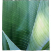 Rideaux De Douche Banane Feuilles Abstrait 37 (Devant)