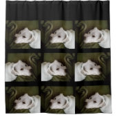 Rideaux De Douche Beau Elégant Blanc Labrador Mix Chien (Devant)