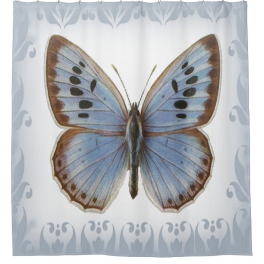 Rideaux De Douche Beau Papillon Bleu (Devant)