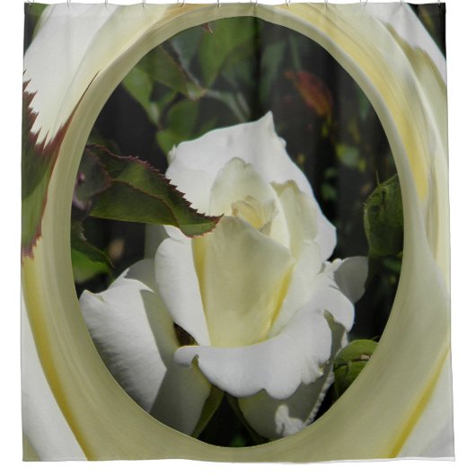 Rideaux De Douche Beauté...... (Devant)