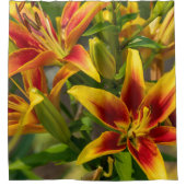 Rideaux De Douche Beauté florale canadienne, Orange Daylily (Devant)