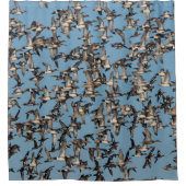 Rideaux De Douche Beaux canards d'hiver en vol (Devant)