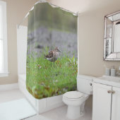 Rideaux De Douche Bécasseau (En situation)