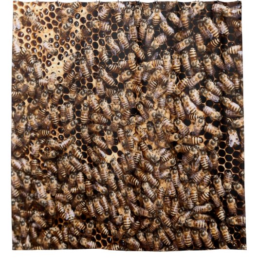 RIDEAUX DE DOUCHE BEEHIVE (Devant)