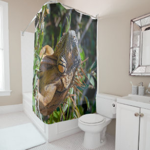 Rideaux De Douche Belize Photographie, Iguana Lizard