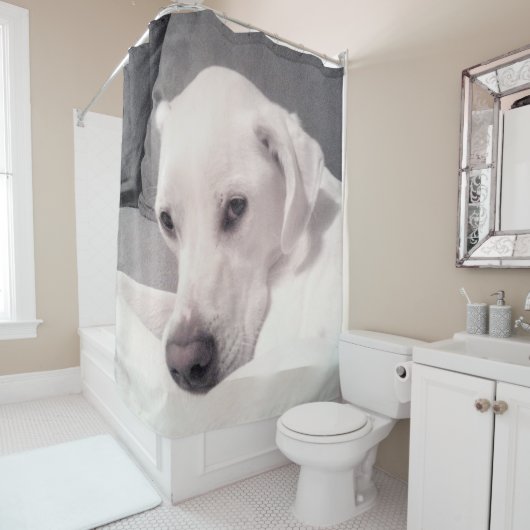 Rideaux De Douche Belle Regal Blanc Labrador Mix Chien Gris Douche (En situation)