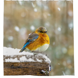 Rideaux De Douche Bleuet de l'Est en neige - Photo originale