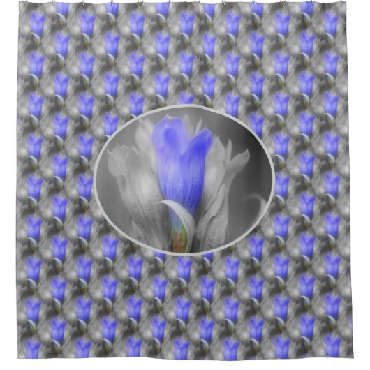 Rideaux De Douche Blue Gentian Flower Nature (Devant)