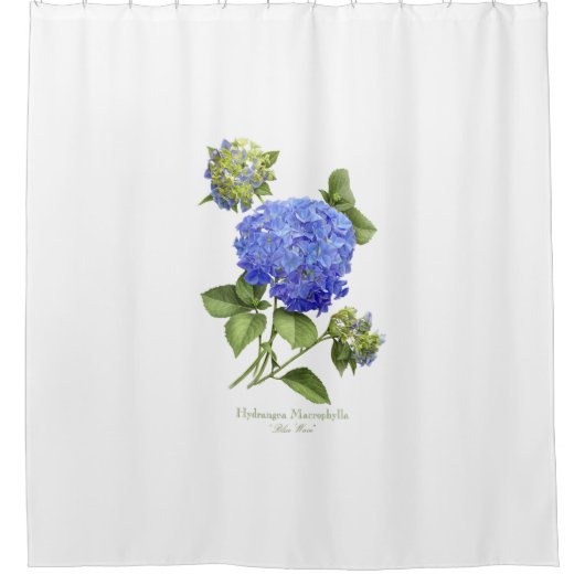 Rideaux De Douche Blue Hydrangeas (Devant)