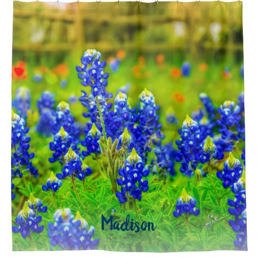 Rideaux De Douche Blue Texas Bluebonnets Floral Paintbrush Fleurs (Devant)