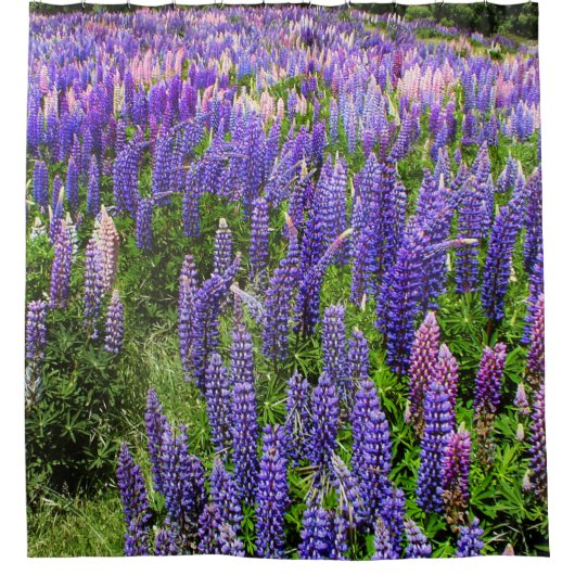 Rideaux De Douche Bluebonnets Blue Floral Texas Texan Elegant (Devant)