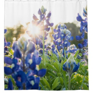 Rideaux De Douche Bluebonnets Blue Floral Texas Texan Elegant