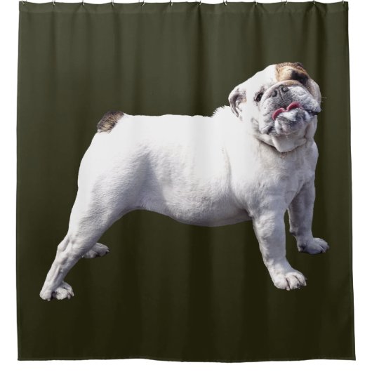 Rideaux De Douche Bouledogue Fier (Devant)
