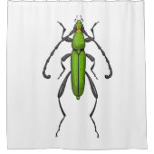 Rideaux De Douche Bousier vert (Devant)