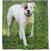 Rideaux De Douche Boxer (Devant)