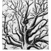 Rideaux De Douche Branches rustiques Abstraites en noir et blanc (Devant)