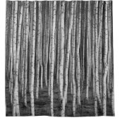 Rideaux De Douche Brézový grove bouleaux, russie (Devant)