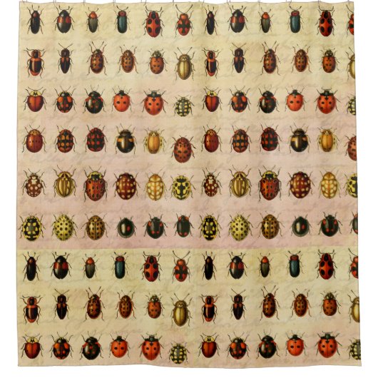 Rideaux De Douche Bug d'insectes coccinelle de coccinelle (Devant)