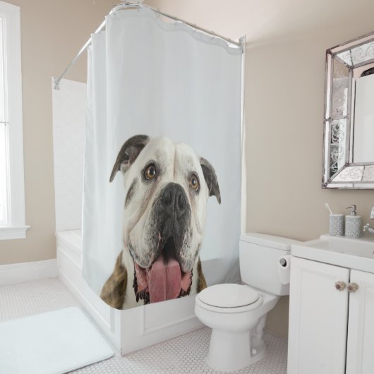 Rideaux De Douche Bulldog Cute Bulldog Pooch (En situation)