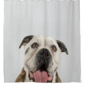 Rideaux De Douche Bulldog Cute Bulldog Pooch (Devant)