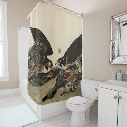 Rideaux De Douche Buse à pattes géantes des oiseaux d'Amérique d'Aud (En situation)