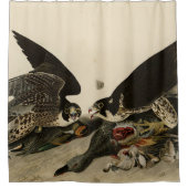 Rideaux De Douche Buse à pattes géantes des oiseaux d'Amérique d'Aud (Devant)