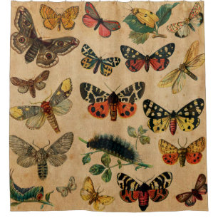 Rideaux De Douche Butterfies Vintages et papillons de nuit (8).jpg