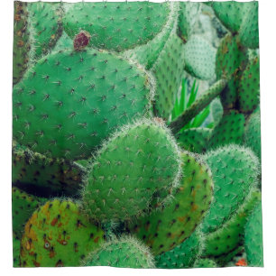 Rideaux De Douche Cactus, cactus de poires épineuses, épines de cact