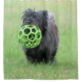 Rideaux De Douche Cairn terrier (Devant)