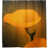 Rideaux De Douche Calla Lily Chaud Yellow Mist Arrière - plan (Devant)