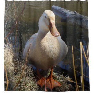 Rideaux De Douche Canard de la Saxe