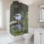 Rideaux De Douche Canard de Mallard (En situation)