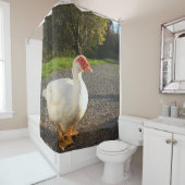 Rideaux De Douche Canard de Muscovy Drake (En situation)