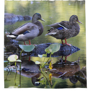Rideaux De Douche Canards de Mallard