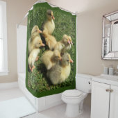 Rideaux De Douche canards et oisons (En situation)