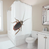 Rideaux De Douche Cancrelat (En situation)