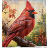 Rideaux De Douche Cardinal (Devant)