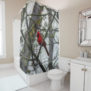 Rideaux De Douche Cardinal