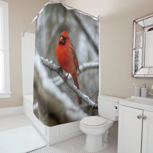 Rideaux De Douche Cardinal masculin (En situation)