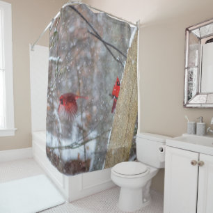 Rideaux De Douche Cardinaux dans la neige