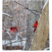 Rideaux De Douche Cardinaux dans la neige (Devant)