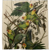 Rideaux De Douche Carolina Parrot de Audubon's Birds of America (Devant)