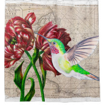 Carte de tulipes de colibri
