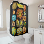 Rideaux De Douche carte des créatures marines (En situation)