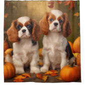 Rideaux De Douche Cavalier King Charles Spaniel Chiot Citrouille d'a (Devant)