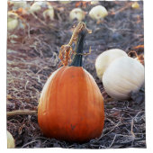 Rideaux De Douche Ce sentiment d'automne (Devant)