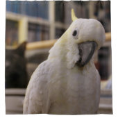 Rideaux De Douche C'est derrière moi...n'est-ce pas ? (Devant)