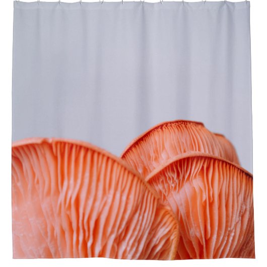 RIDEAUX DE DOUCHE CHAMBRES ROSES (Devant)