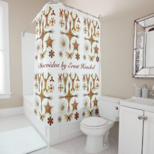 Rideaux De Douche Chamomile sauvage par Ernst Haeckel, Nature Vintag